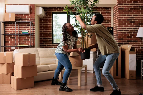 African American Couple Decorating New Apartment Move Unpacking Plant Furniture — стоковое фото