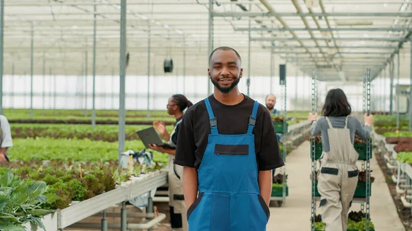 Portrait Smiling African American Man Posing Arms Pockets While Workers — 图库照片