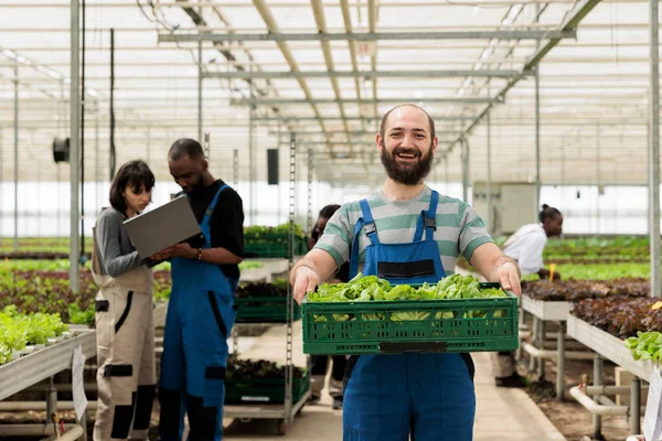 Portrait Smiling Caucasian Man Greenhouse Holding Crate Fresh Batch Hand — 스톡 사진