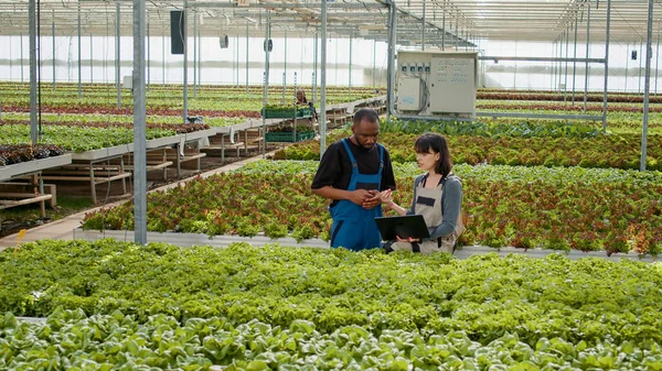 Diverse Greenhouse Workers Using Laptop Manage Online Orders Harvested Crops — Fotografia de Stock