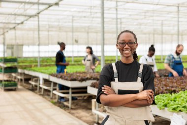 Portrait of smiling woman in modern greenhouse with workers taking care of salad crop and green plants seedlings. African american agricultural worker posing happy in organic vegetables farm.