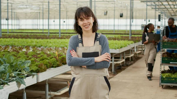 Portrait Greenhouse Worker Working Greenhouse While Agricultural Engineers Using Laptop — Stock Photo, Image