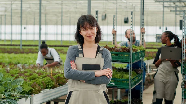 農場労働者が温室内の農業管理ソフトウェアでラップトップを使用している間 腕を組んでポーズをとっている自信のある女性の肖像画 有機野菜農園に立つにっこりピッカー — ストック写真