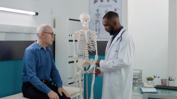 Health Specialist Analyzing Human Skeleton Bones Cabinet Explaining Osteopathy Diagnosis — Vídeo de Stock