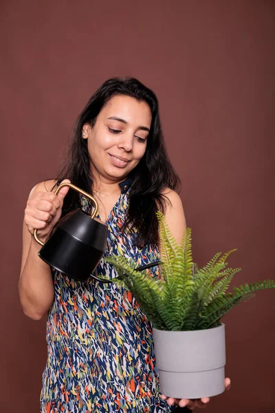 微笑的印第安妇女浇灌盆栽的家庭植物 种植叶子植物 抱着女士的罐子 关心异国情调的室内花盆 看热带绿叶的人 爱好生活 — 图库照片