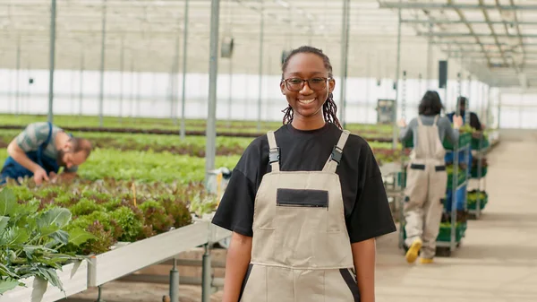 在现代温室里 一个带着微笑的女人的画像 由工人照看植物 用收获的庄稼推动板条箱 美国黑人农业工人在有机蔬菜农场摆出一副快乐的架势 — 图库照片