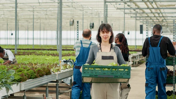 Porträt Einer Selbstbewussten Kaukasischen Frau Die Eine Kiste Mit Salatproduktion — Stockfoto