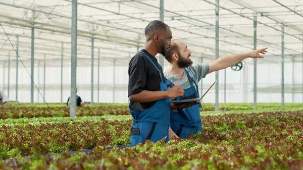 Agricultor Afroamericano Sosteniendo Portátil Hablando Con Trabajador Caucásico Experimentado Aprendiendo — Foto de Stock