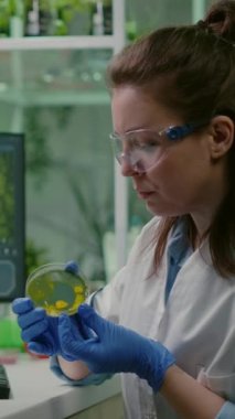 Dikey video: Tıbbi uzmanlık geliştirmek için petri kabından çözümleme testi yapan ilaç araştırmacısı. Biyoloji araştırmacısı, kimyasallar üzerine çalışan bir bilgisayarda mikrobiyoloji yazıyor.