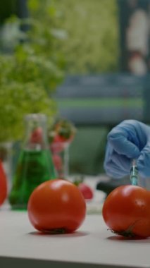 Dikey video: Kimyager bilim adamının GMO testi için organik domateslere böcek ilacı enjekte etmesi. Farmakoloji laboratuvarında çalışan biyokimyacı mikrobiyoloji uzmanlığı için sağlıklı gıdaları test ediyor.