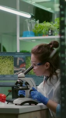 Dikey video: Biyokimya doktoru genetik araştırmacılar için mikroskop kullanarak kimyasal testi inceliyor. Biyoloji uzmanı mikrobiyoloji laboratuvarında çalışırken organik gmo bitkileri keşfetti.