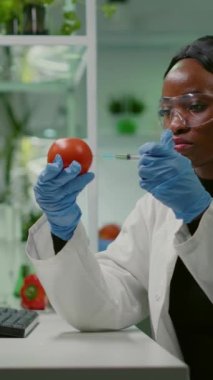 Dikey video: Afrikalı biyokimyacı tıbbi eldivenlerle organik domatesi GMO testi için böcek ilacı enjekte ederek tıbbi uzmanlığı analiz ediyor. Biyokimyacı çiftçilik laboratuarında çalışıyor.