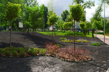 Manzara tasarımlı kentsel peyzaj, yeşillikler arasındaki taş yollar, güneşli bir yaz gününde misafirler ve sakinler için bir park.