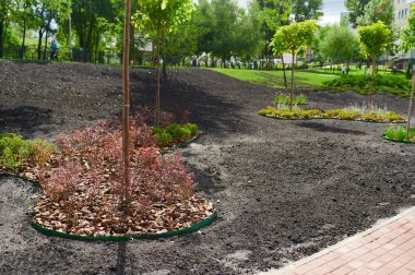 Manzara tasarımlı kentsel peyzaj, yeşillikler arasındaki taş yollar, güneşli bir yaz gününde misafirler ve sakinler için bir park.