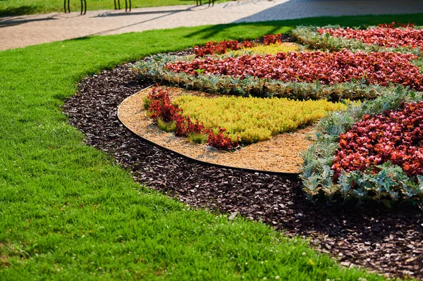 Macizo Flores Con Flores Parque Paisajístico Urbano Para Recreación Paseos —  Fotos de Stock