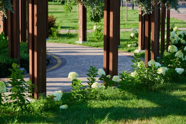 Floreciente Macizo Flores Parque Paisajístico Urbano Para Los Residentes Cálido —  Fotos de Stock