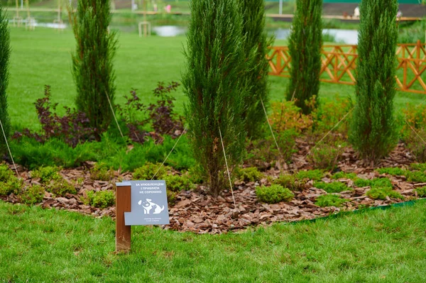 Paisajismo Urbano Con Plantas Perennes Diseño Del Paisaje Caminos Piedra —  Fotos de Stock