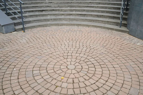 公園内の石の道には景観デザインの小さなトゥジャや景観デザインの道に沿った茂み — ストック写真