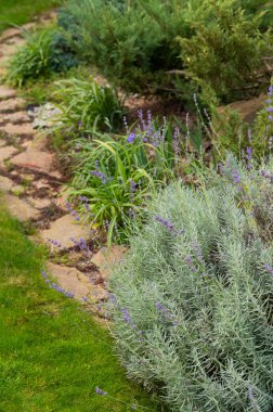 Çakıl taşı ve çalı peyzaj tasarımı, çalılar ve çimler arasında taşlar peyzaj tasarımı
