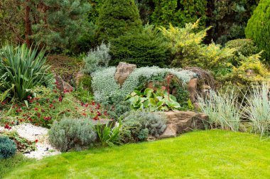 Bir çiçek tarlasında çalılar ve çalılar. Manzara tasarımında taşlarla çerçevelenmiş.