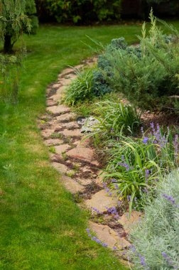 Parke taşı, çalı ve çimen, taşların arasında peyzaj tasarımı