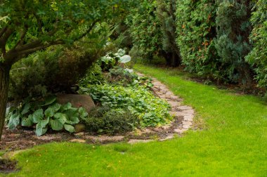 Çakıl taşı ve çalı peyzaj tasarımı, çalılar ve çimler arasında taşlar peyzaj tasarımı