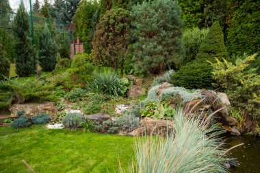 Yeşilliklerle dolu bir çiçek tarlası, manzara tasarımındaki taşlar arasında çiçekler.