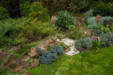 Yeşilliklerle çiçekli, ardıç çiçekleriyle taşların arasında peyzaj tasarımında