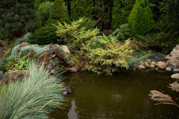 园林设计中的鹅卵石和植物来加固园中的池塘 — 图库照片