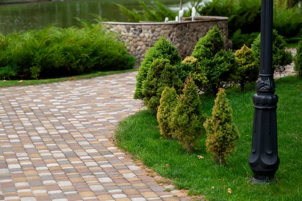 Stone Path Park Small Thujas Bushes Path Landscape Design — Stock Photo, Image