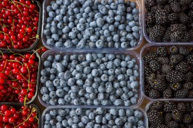 Alışveriş merkezindeki plastik kaplarda yabanmersini, frenk üzümü, böğürtlen ve böğürtlen var.