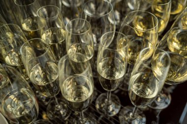 Champagne in glass goblets on the table, white wine on the table of the event, shot close-up