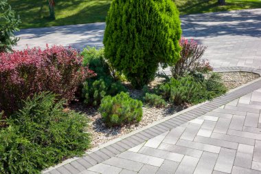 evergreen trees and shrubs with a flower bed in a landscaped recreation park with juniper and barberry bushes along a tiled walkway