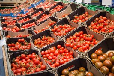 fresh tomatoes in a box on the counter in the supermarket for the choice of buyers