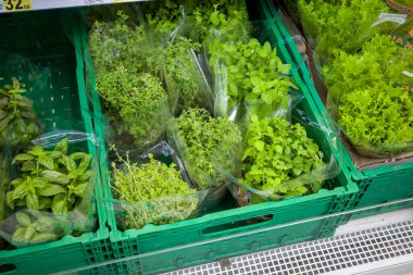 greens for salads on the counter in the store, wheat sprouts, pea sprouts, mint and basil, food for customers