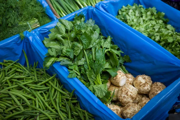 fresh celery in a box for sale on the counter in a supermarket