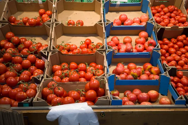 fresh tomatoes in a box on the counter in the supermarket for the choice of buyers