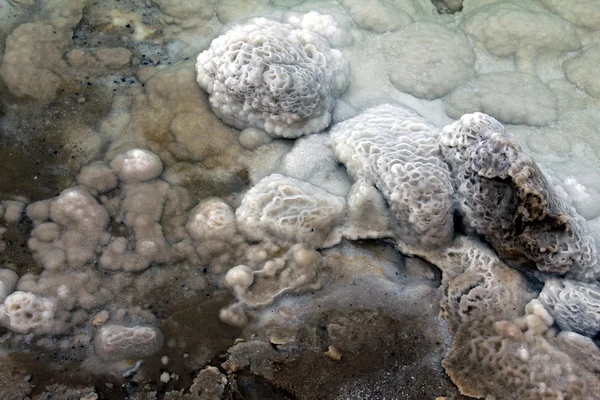 Salt in the Dead Sea — Stock Photo, Image