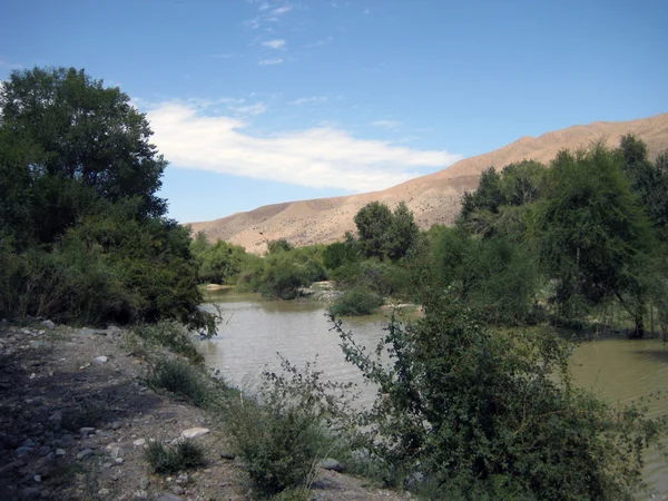 Stream op een plateau in de bergen van Kirgizië, Azië — Stockfoto