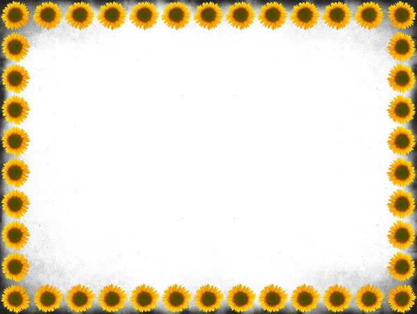 Sonnenblumen-Rahmen — Stockfoto