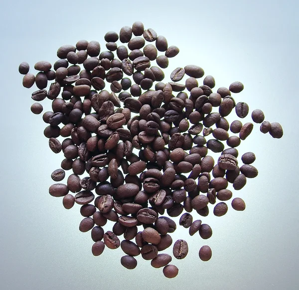 Coffee beans illuminated from behind — Stock Photo, Image