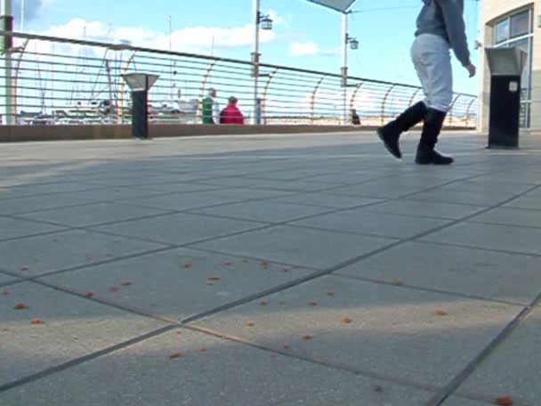 Chica y gorriones en el paseo marítimo — Vídeo de stock