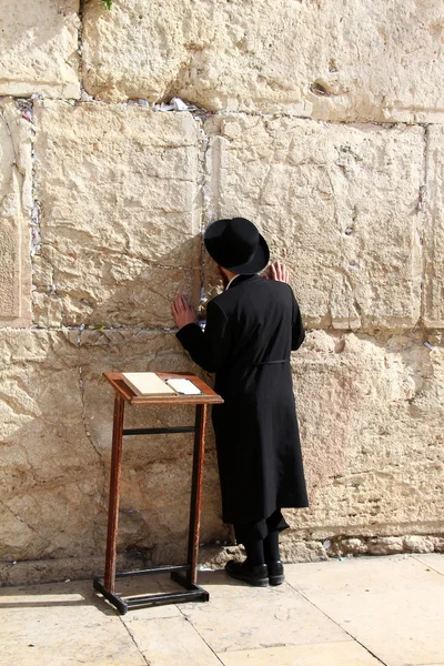 Un adorateur juif prie au Mur des Lamentations un important site religieux juif à Jérusalem, Israël . — Photo