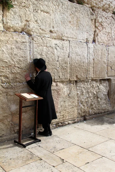 Еврейский молящийся молится у Стены Плача важный еврейский религиозный объект в Иерусалиме, Израиль . — стоковое фото