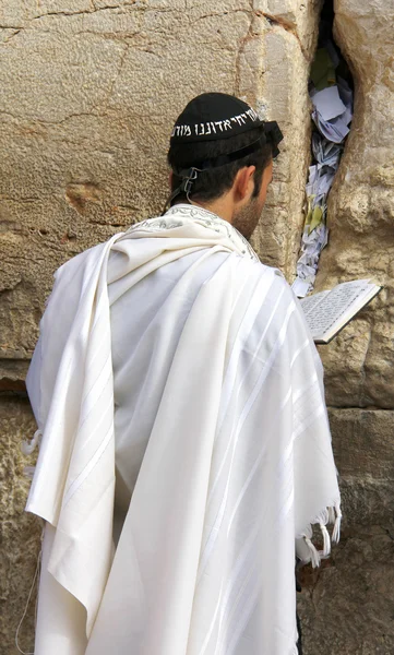 Cultor judeu reza no Muro das Lamentações um importante local religioso judeu em Jerusalém, Israel . — Fotografia de Stock