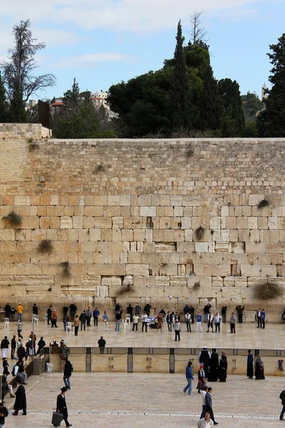 Les fidèles juifs prient au Mur des lamentations — Photo