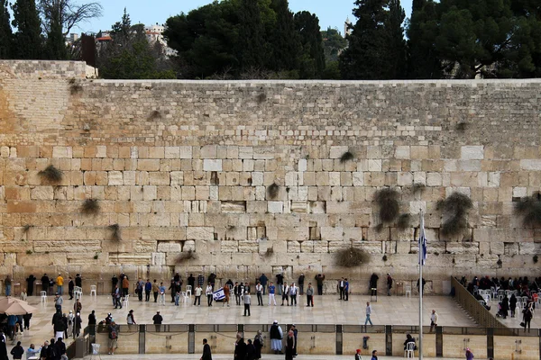 ユダヤ人の崇拝者が嘆きの壁で祈る — ストック写真