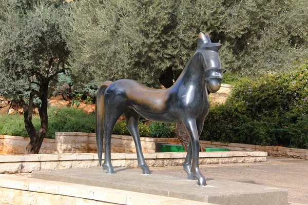 Jerusalem Pferd — Stockfoto