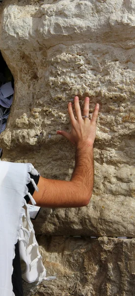 Cultor judeu reza no Muro das Lamentações — Fotografia de Stock