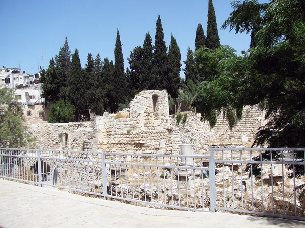 Sheep source. Jerusalem. Israel — Stock Photo, Image